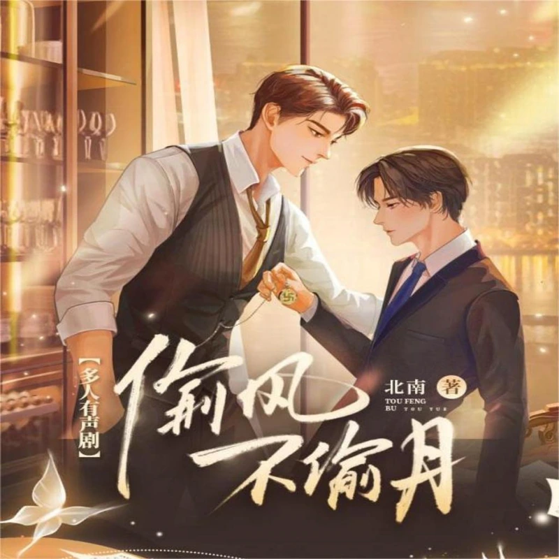 《偷风不偷月(有声剧)》封面